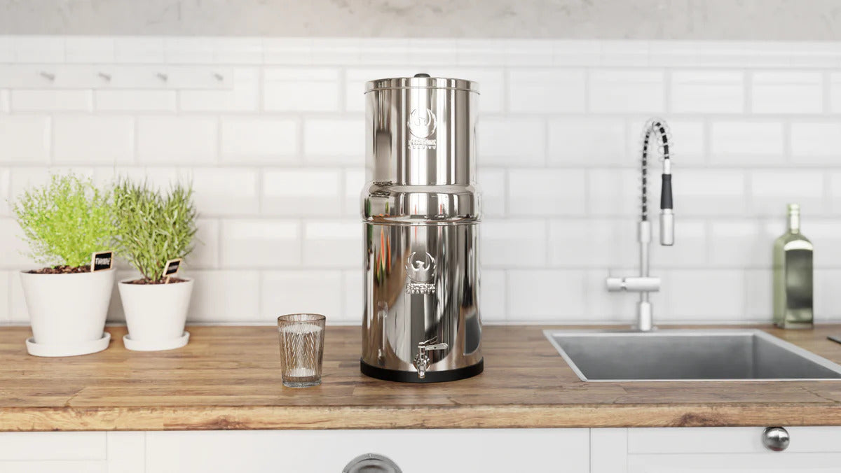 Phoenix Stainless Steel Gravity Water Filter System